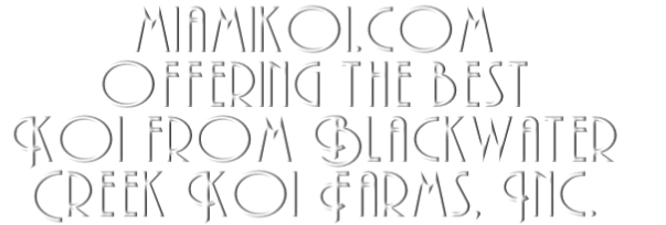miamikoi.com
Offering the best 
Koi from Blackwater 
Creek Koi Farms, Inc.
